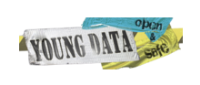 Logo Young Data