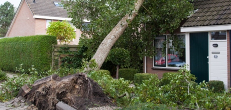 Umgestürzter Baum liegt schräg auf dem Dach eines Einfamilienhauses