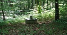 Deckel einer Trinkwasserfassung im Laubwald im Sommer