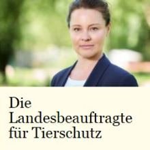 Portrait der Landesbeauftragten für Tierschutz mit entsprechendem Schriftzug auf gelbem Grund