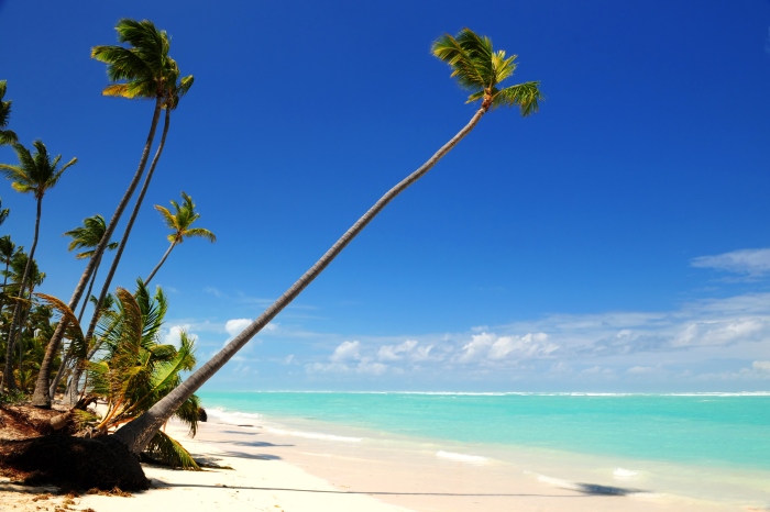 Weißer Sandstrand mit Palmen, blauem Himmel, weißen Wölkchen und türkisblauem Meer