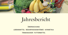 Ausschnitt Titelbild Jahresbericht 2016; Schwarze Schrift auf gelbem Grund mit EInkaufswagen voll verschoedenem Obst und Gemüse