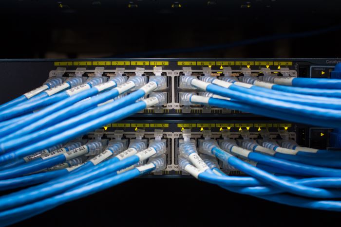 Viele blaue Netzwerkkabel stecken in der Rückseite eines Servers Viele blaue Netzwerkkabel stecken in der Rückseite eines Servers